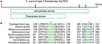 inactivation of cryptosporidium parvum under laboratory conditions